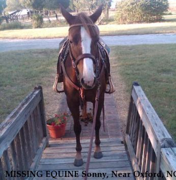 MISSING EQUINE Sonny, Near Oxford, NC, 27565